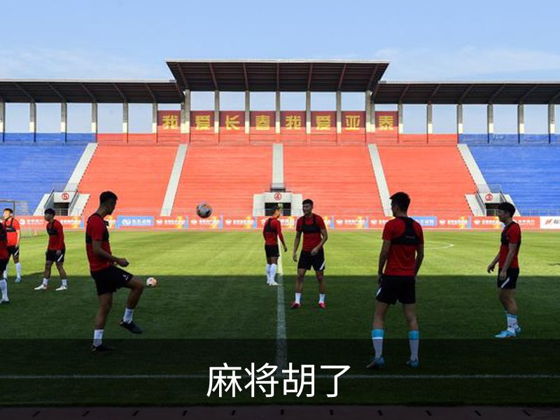 麻将胡了简介